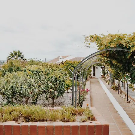 Quinta De Sao Pedro De Feriegård Tomar