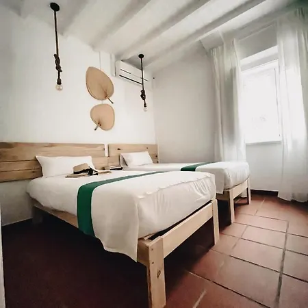 ファームステイ Quinta De Sao Pedro De トマール