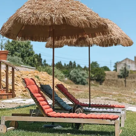 Quinta De Sao Pedro De ファームステイ