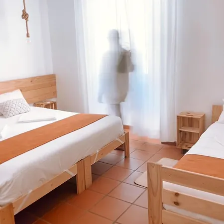 ファームステイ Quinta De Sao Pedro De トマール