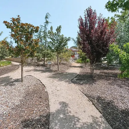 Quinta De Sao Pedro De ファームステイ