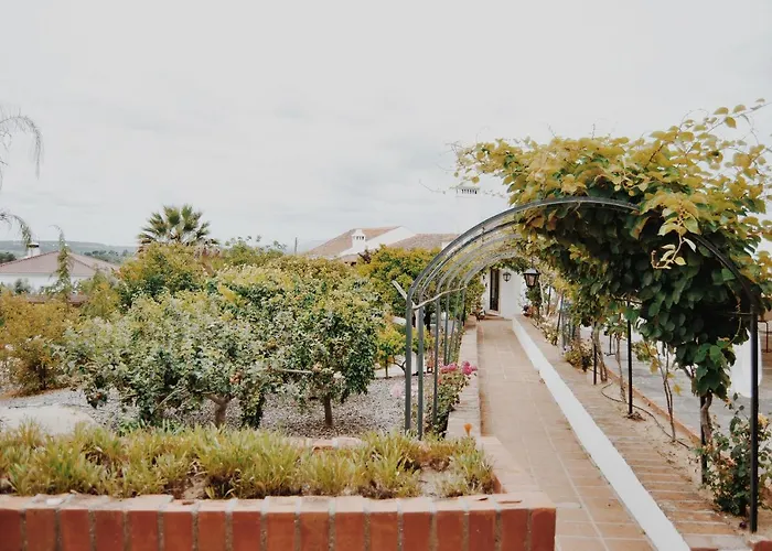 Quinta De Sao Pedro De ファームステイ トマール