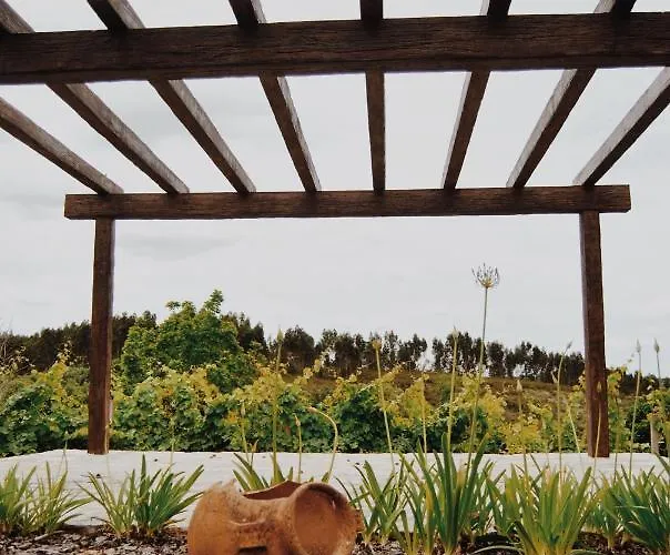 Quinta De Sao Pedro De ファームステイ トマール