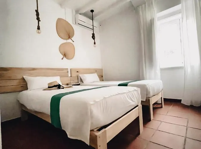 ファームステイ Quinta De Sao Pedro De トマール