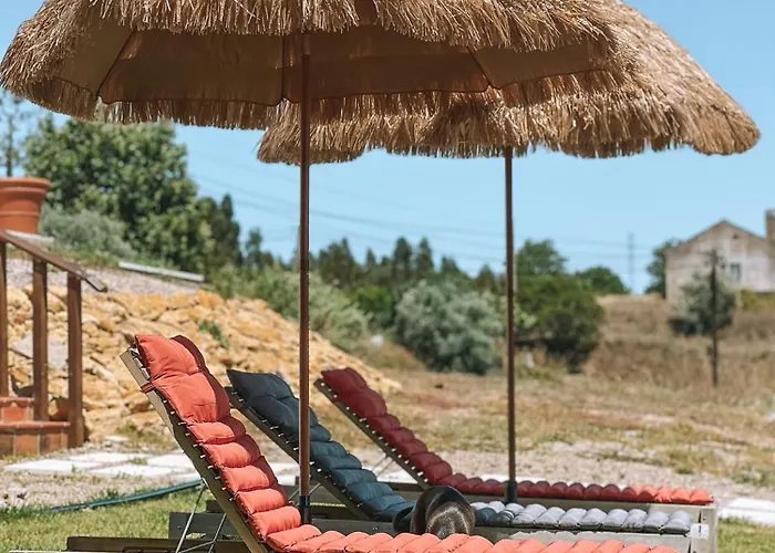 Quinta De Sao Pedro De בית חווה