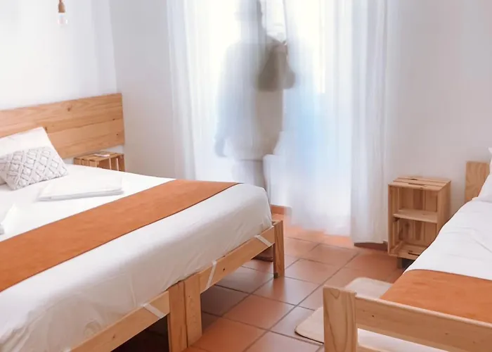 ファームステイ Quinta De Sao Pedro De トマール