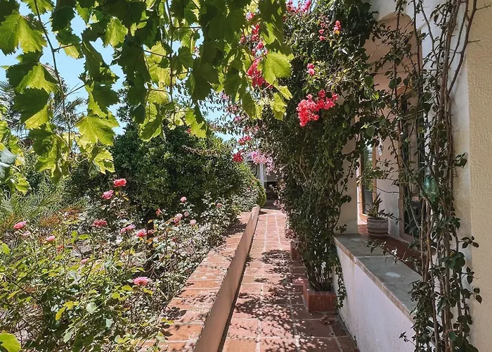 Quinta De Sao Pedro De