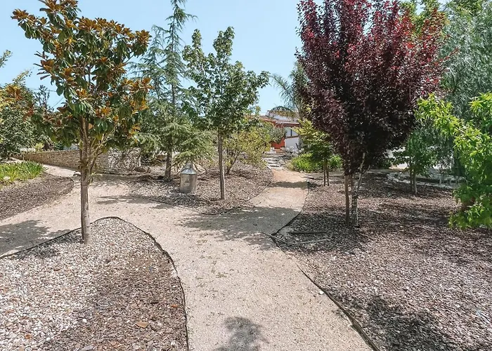 Quinta De Sao Pedro De ファームステイ